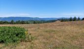 Tour Wandern Ferrières-Poussarou - Crêtes du Matas - Photo 4