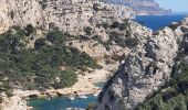 Randonnée Marche Marseille - 2023-04-16 Calanques de Sormiou et de Sugiton - Photo 12