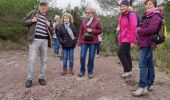 Percorso A piedi Saint-Raphaël - z le vallon de Barban 17-12-19 - Photo 2