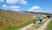 Trail Walking Château-Thierry - Château-Thierry ADR par Essômes sur Marne - Photo 1