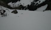 Excursión Esquí de fondo Bellevaux - COMBE SUSPENDUE - Photo 4