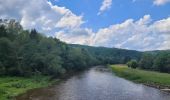 Tour Wandern Vresse-sur-Semois - rando 20 -05-2024 laforêt - Photo 2