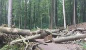 Tour Wandern La Hulpe - Domaine Solvay (La Hulpe) - Forêt de Soignes - Photo 5