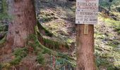 Trail Walking Plainfaing - rudlin - Photo 7