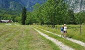 Trail On foot Bohinj - Wikiloc Bohinj Slap Savicaa - Photo 6