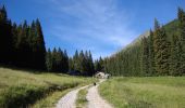 Trail On foot Castello-Molina di Fiemme - IT-E314 - Photo 2