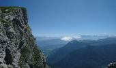 Randonnée Marche La Chapelle-en-Vercors - la Sarna /Roche Rousse - Photo 2