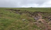 Randonnée Marche Marchastel - [06] Compostelle : de Marchastel / Nasbinals à Saint-Chély-d'Aubrac - Photo 11