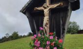 Tour Wandern Gemeinde Scheffau am Wilden Kaiser - Hintersteinersee - Photo 5