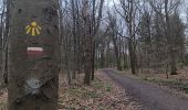 Randonnée Marche Liège - montée bois de St Jacques . traversée par sart aux fraises . descente ruisseau de kinkempois - Photo 7