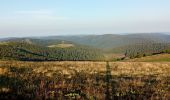 Trail Walking Le Valtin - La Schlucht - Le Hohneck - Photo 11