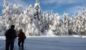 Tocht Sneeuwschoenen Haut Valromey - raquettes chapelle5km6 - Photo 2