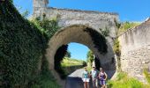 Trail Walking Saumur - MAINE ET LOIRE / SAUMUR: DECRASSAGE - Photo 5