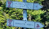 Percorso A piedi Ballabio - Traversata Bassa delle Grigne - Photo 1