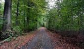 Randonnée Marche Hoeilaert - fForest de Soignes  tumulu - Photo 1