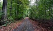 Tour Wandern Hoeilaart - fForest de Soignes  tumulu - Photo 1