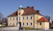 Tour Zu Fuß Siegendorf - Naturweg-Tour (Vital-Parcours Siegendorf) - Photo 4