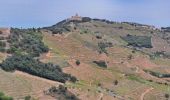 Trail Walking Collioure - boucle autour de collioure  - Photo 3