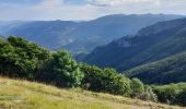 Tour Wandern Omblèze - Plateau d Ambel - Photo 14