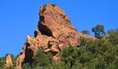 Trail Walking Fréjus - Pk MF du Malpey - Piste des Malavalettes par Carrefour Roche Noire - Photo 9