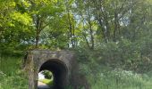 Trail Walking Neufchâteau - Tronquoy - Respelt - Photo 11