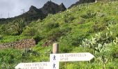 Tour Wandern Santa Cruz de Tenerife - 20230125 Tachero-Taganana-Casa Forestal  - Photo 10