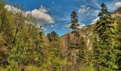 Excursión A pie Sasca Montană - Sasca Montană – Cascada Șușara – Cărbunari (blue plus) - Photo 3