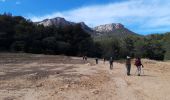 Tocht Stappen Le Revest-les-Eaux - Le Mont Caume-17-03-21 - Photo 17