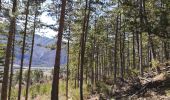 Tour Wandern La Roche-des-Arnauds - Sentier de la Poltrona/Combe du Duc. - Photo 4