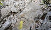 Trail Walking Saint-Mathieu-de-Tréviers - Pic St Loup  - Photo 8