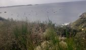 Trail Walking Le Conquet - Le conquet blancs sablons Trezien - Photo 3