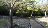 Tour Zu Fuß Unbekannt - 弥山登山道(大元コース) - Photo 8