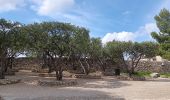 Trail Walking Nimes - mon petit tour de Nîmes  - Photo 6