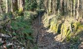 Trail Walking Belz - PR_56_Belz_DA_04_Pointe-De-Kerrio_Circuit4a_20250102 - Photo 9