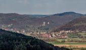 Trail On foot Ebermannstadt - Feuerstein-Unterleinleiter - Photo 5