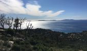 Randonnée Marche Le Lavandou - Col du canadel à Cavalière  - Photo 1