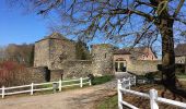 Trail Walking Villers-la-Ville - #190324 - Rigenée, rives de la Thyle, château du Châtelet et golf**** - Photo 2