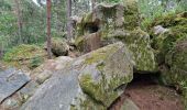 Tocht Stappen Fontainebleau - Bourron-Marlotte sentier Denecourt 11 - Photo 11