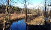 Trail Walking Tenneville - Laneuville-au-Bois : la Basseille - Photo 2