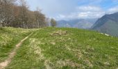 Tour Wandern Lescun - Belvédère de Lescun - Photo 13