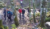 Tour Wandern Krüt - 2020-02-05 Kruth Strasshisla - Photo 4