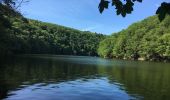 Trail Walking La Roche-en-Ardenne - Barrage nasradin  - Photo 2