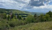 Randonnée Marche Viroinval - Olloy sur Viroin 23 km - Photo 4