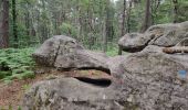 Tocht Stappen Fontainebleau - Fontainebleau Sentier Denecourt 17 - Photo 15