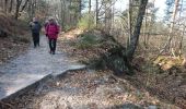 Trail Walking Fontainebleau - croix du grand maître 3mars 2023  - Photo 6