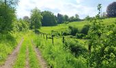 Trail Walking Anthisnes - La Rock . bois de Comblain . Sparmont - Photo 3