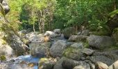 Randonnée Marche Thuès-Entre-Valls - gorges de caranca - Photo 4