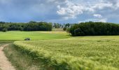 Tour Wandern Mettet - Biesmeree 26 km - Photo 5