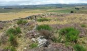 Trail Walking Peyre en Aubrac - CC_Velay_BA_05_Peyre-Aubrac_Nasbinals_20070819 - Photo 1