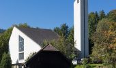 Tocht Te voet Gemeinde Breitenstein - Orthof - Rotberg - Meierei - Semmering - Breitenstein - Photo 10